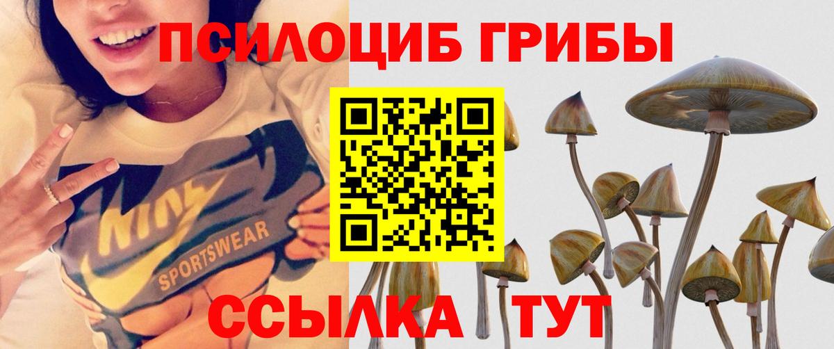 Шатура  Псилоцибиновые грибы мицелий  Вход с VPN  Галлюциногенные грибы GOLDEN TEACHER 
